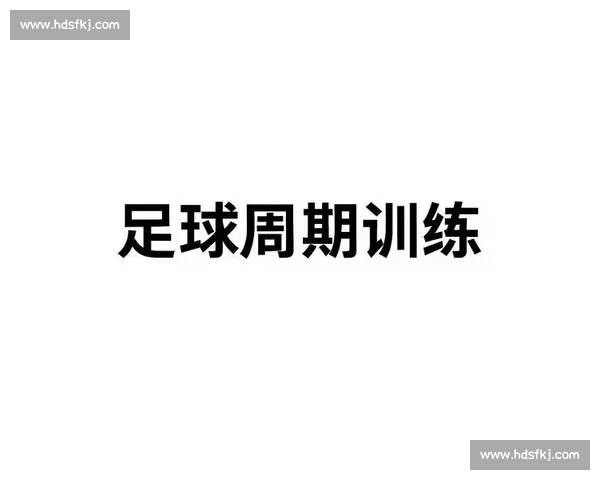 高效训练策略解析与实战方法全面提升运动表现 高效训练策略解析与实战方法全面提升运动表现