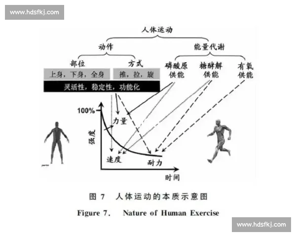 全面提升体能与技巧的体育运动科学训练与指导方案